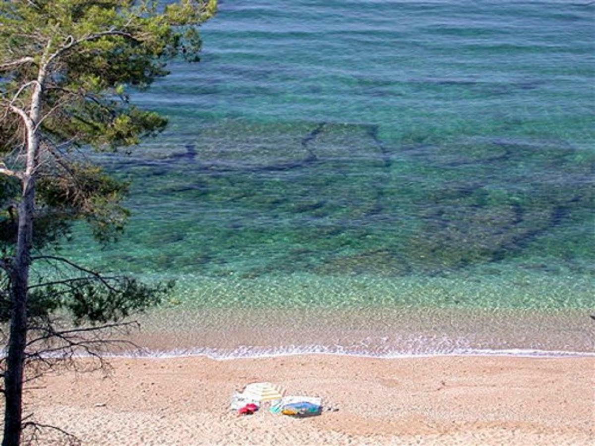 **** Beau T2 De 40 M2, Jardin De 70M2, Au Calme, A 50 Metres De La Plage Le Pradet Exterior foto